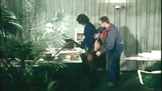 Едрогърда възрастна  ...