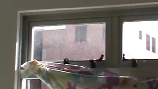 Доведеният брат случ ...