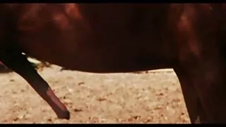 Възрастен дядо учи н ...